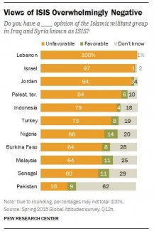 Isis poll.JPG