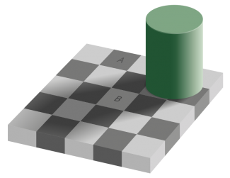 764px-Grey_square_optical_illusion.svg.png