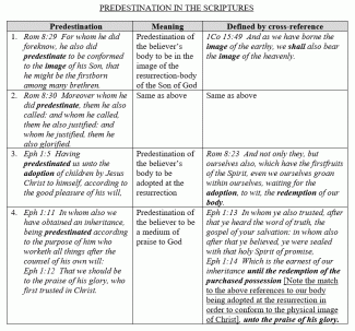 Predestination just the table.gif