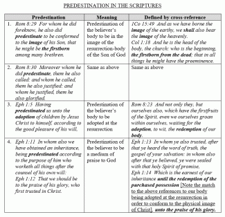 Predestination just the table.gif