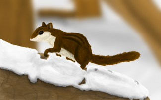 winter_by_colliequest-d8allt2.png