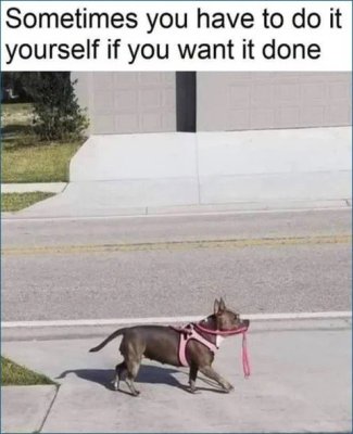 m0Y4zr6[1].jpg