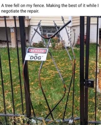 zvuLMkml[1].jpg