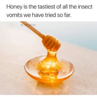 tcKvksI[1].jpg
