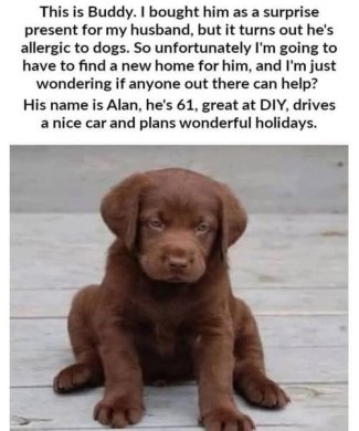 dqh0b7u[1].jpg