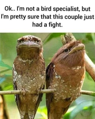 LH0JyY4[1].jpg