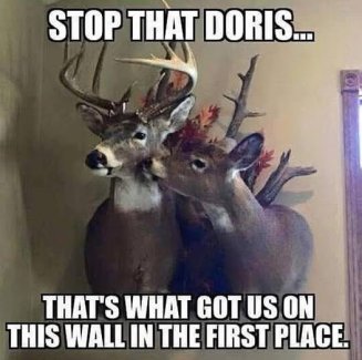 awTASOP[1].jpg