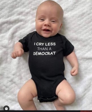 pFWSyEWh[1].jpg