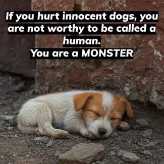 FKNOiJih[1].jpg