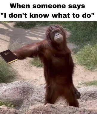 XEmmRARh[1].jpg