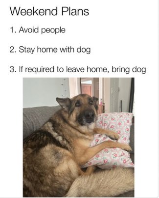 C3kWZxBh[1].jpg