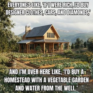 ZhlMTTMh[1].jpg