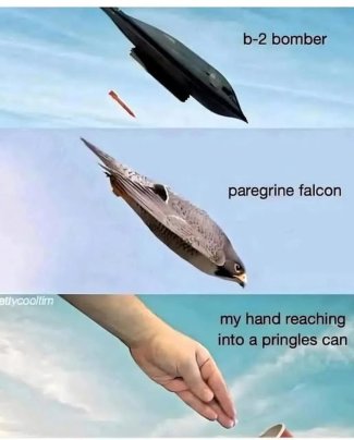 8DNsqBGh[1].jpg