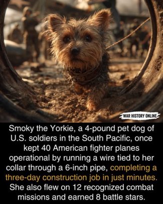 vPGo8nmh[1].jpg