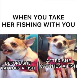 NrbDOfSh[1].jpg