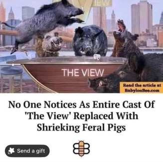 1751166384343.png