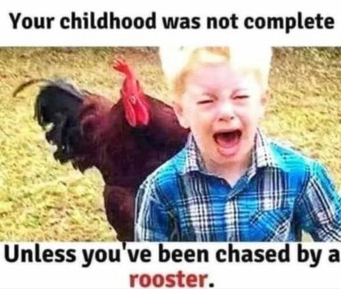 4obW8Rch[1].jpg