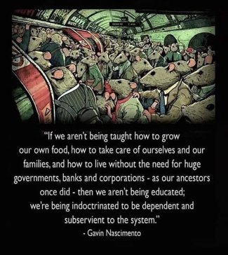 RoK1qiKh[1].jpg
