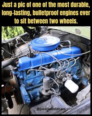 dDmwbogh[1].jpg