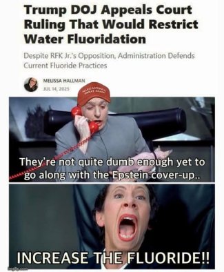 LsQolWgl[1].jpg