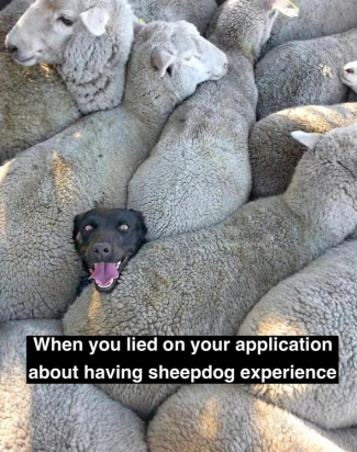 1753332546559.png