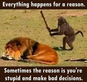 0GCcA9fl[1].jpg