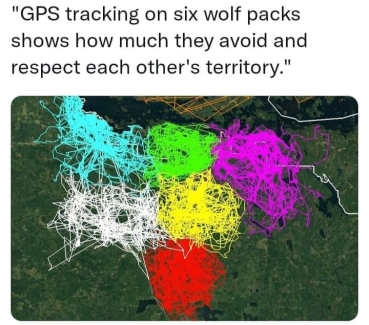1753580999916.png