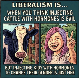 1753676878075.png