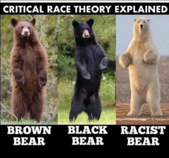 1753760317018.png