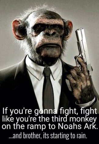 vor9PL8l[1].jpg