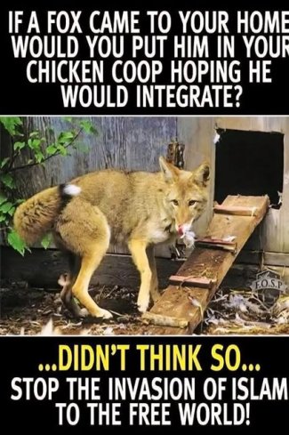SxKgNirl[1].jpg
