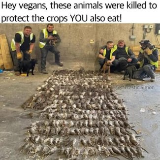aZjlDaP[1].jpg