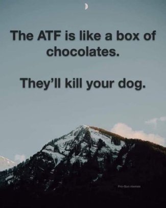 lciYkegl[1].jpg