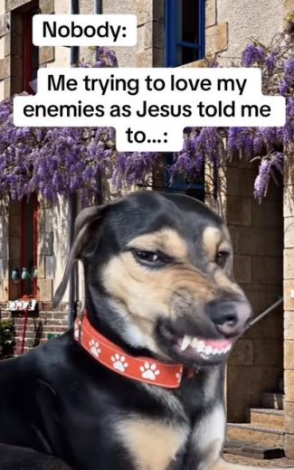 zTgbIr0l[1].jpg
