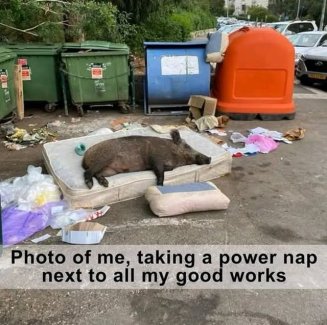 FHUZLXil[1].jpg