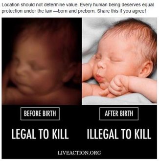 1wRT2PRl[1].jpg