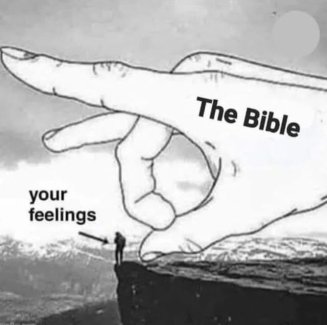 H8b1IP1l[1].jpg