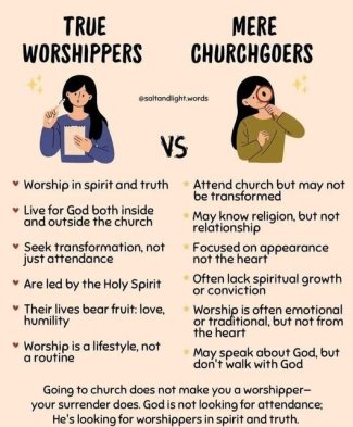 cMWczPPl[1].jpg
