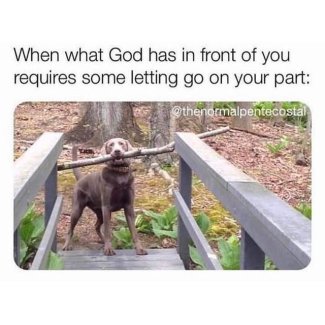 D0LQzCml[1].jpg