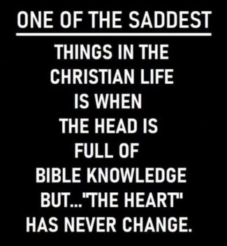 4SoJXBdl[1].jpg