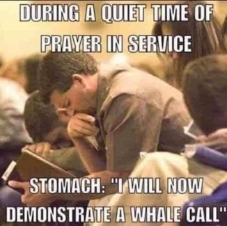 c8M6N7al[1].jpg
