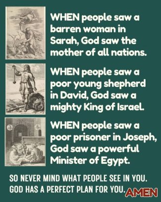 ENosNtVl[1].jpg