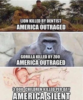 dyk2zzsl[1].jpg