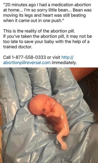 INo38DZl[1].jpg