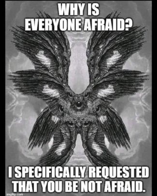 fcduYbfl[1].jpg