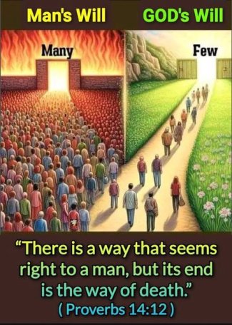 iFkGntjl[1].jpg