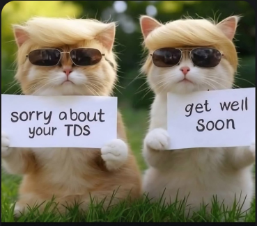 1760925282640.png