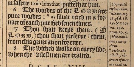 Bible - Psalms 12 vs 6-7 AV1611 Footnotes.jpg