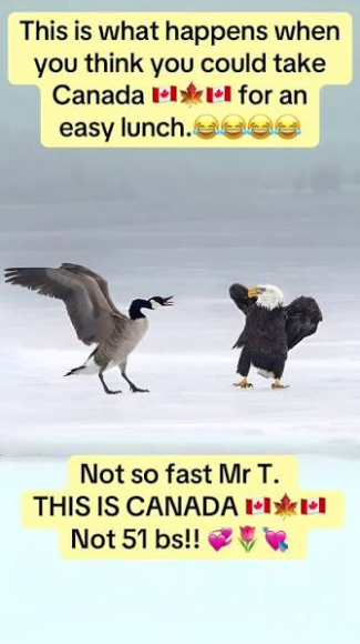 1788097421409.png