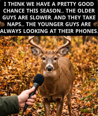 1791343574709.png